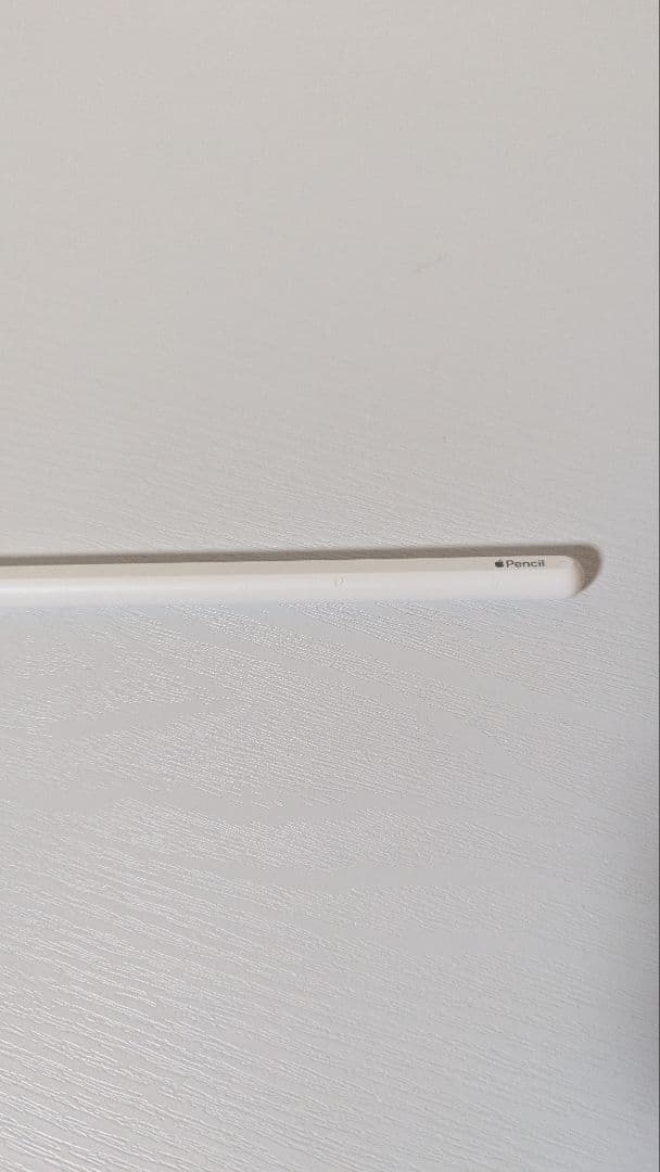 iPad Pro12.9 第6世代　hidemonさん用
