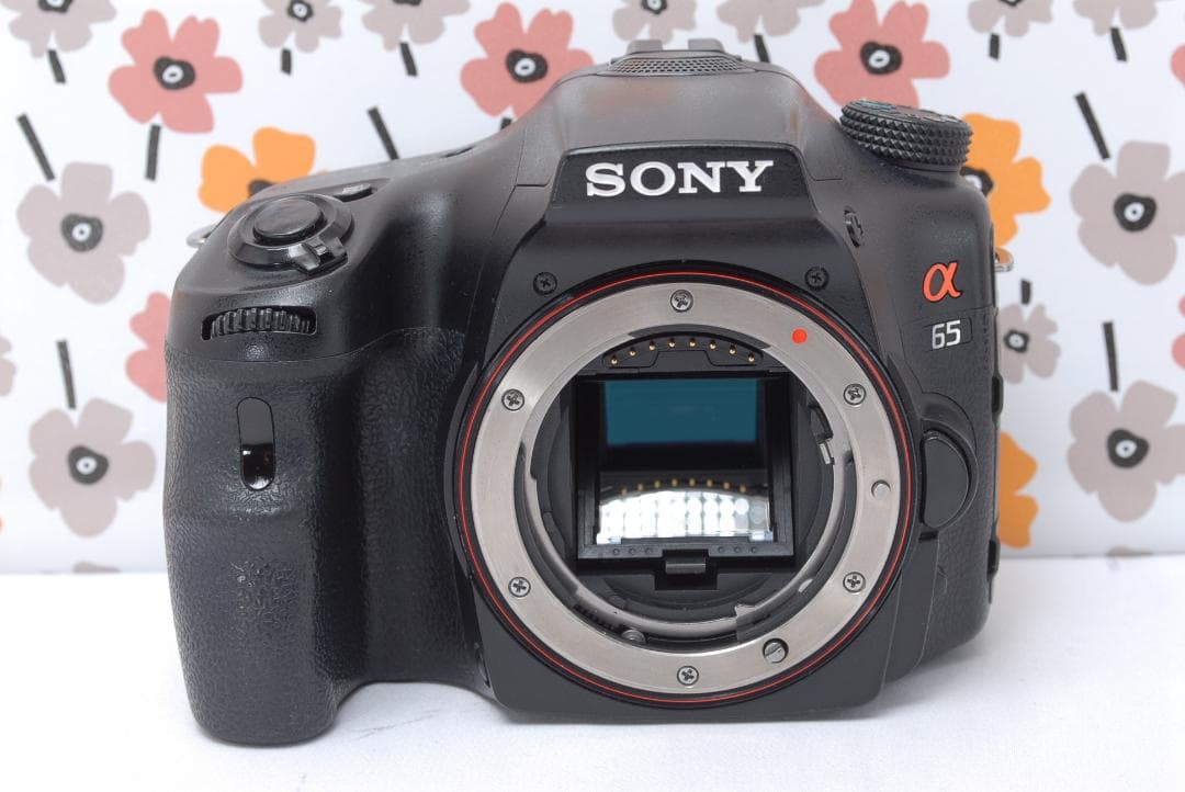 ❤即購入1000円OFF❤SONY α65❤超高画質❤超望遠トリプルレンズ❤