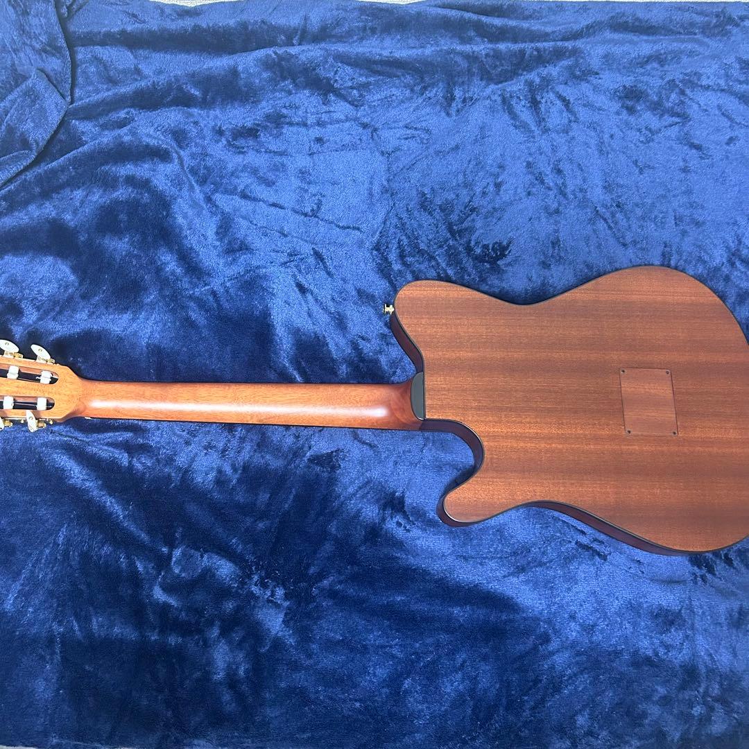 Ibanez アコースティック　エレキギター　楽器 ソフトケース付き