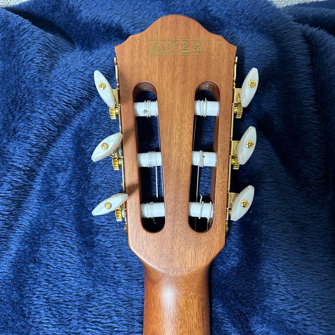 Ibanez アコースティック　エレキギター　楽器 ソフトケース付き