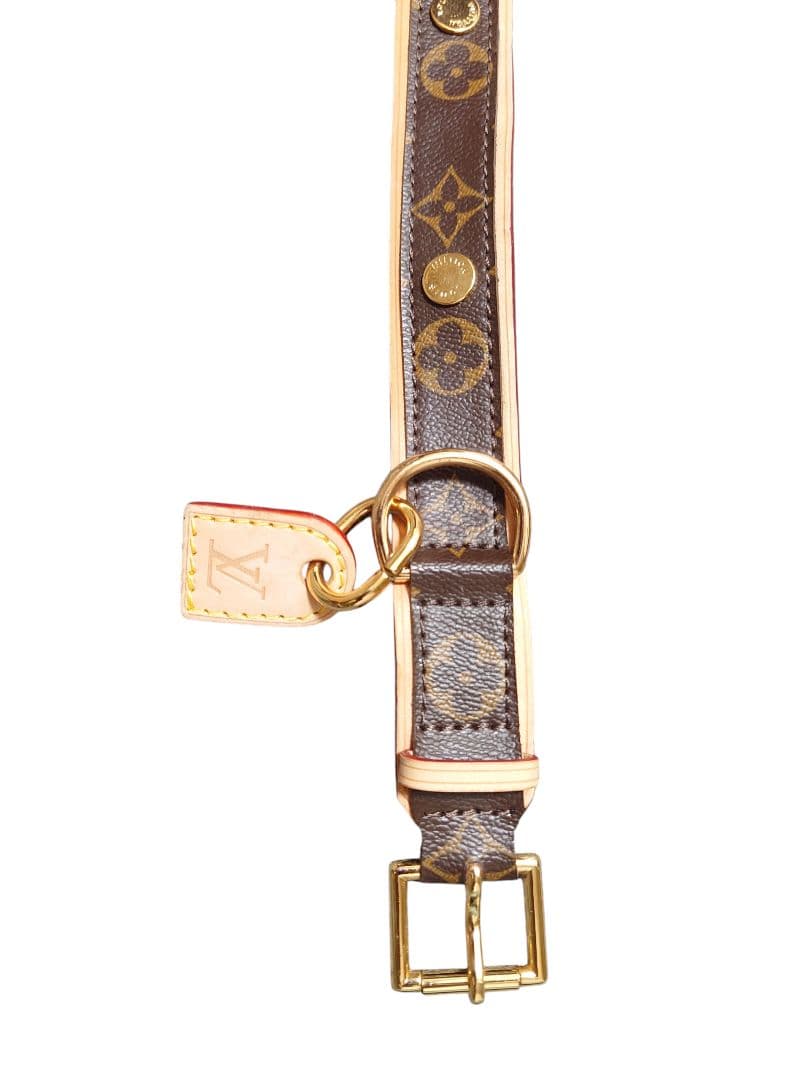 Louis Vuitton 中型犬用首輪とリードセット