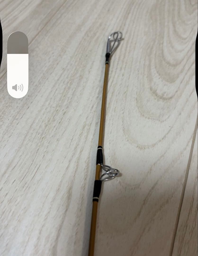 最終値下げ　ザウルス　フィリップソンBC60L 美品