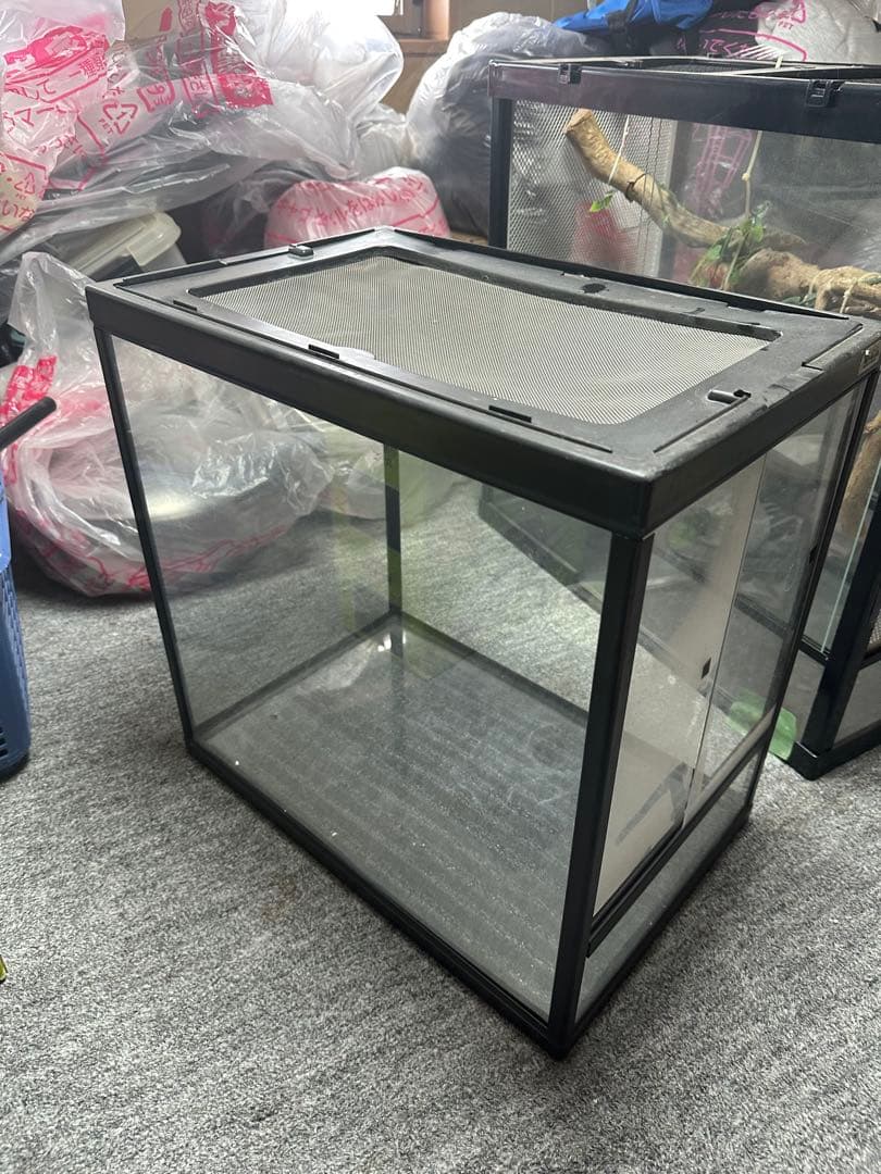 ［引き取り限定］中型ガラス飼育ケージ 600木の枝付きおまけケージ2個