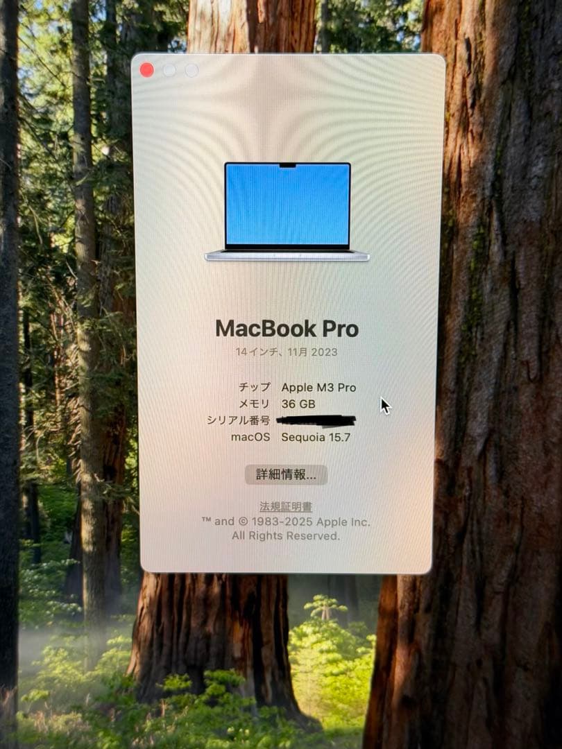 ほぼ新品Apple MacBook Pro 14 M3 Pro 36GB US