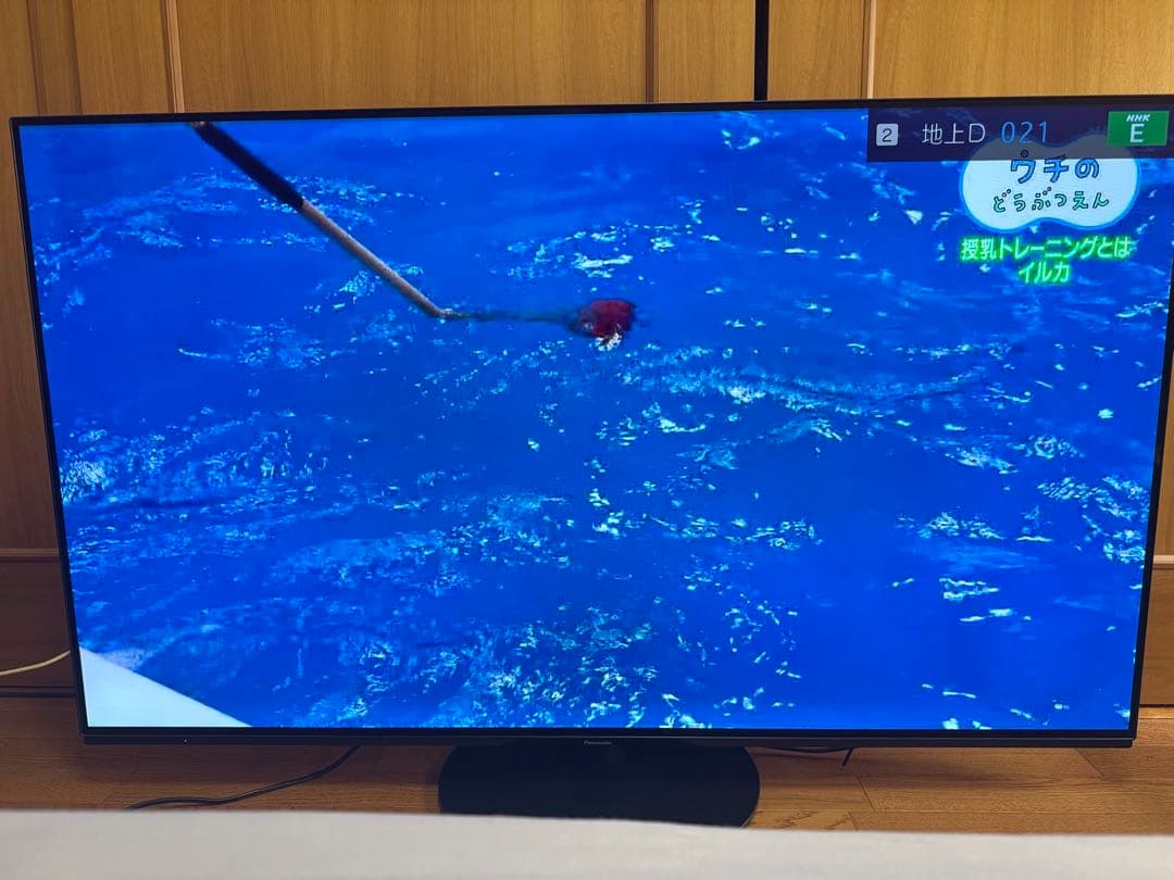 TH-55HZ1000 Panasonic 液晶テレビ VIERAビエラ インチ