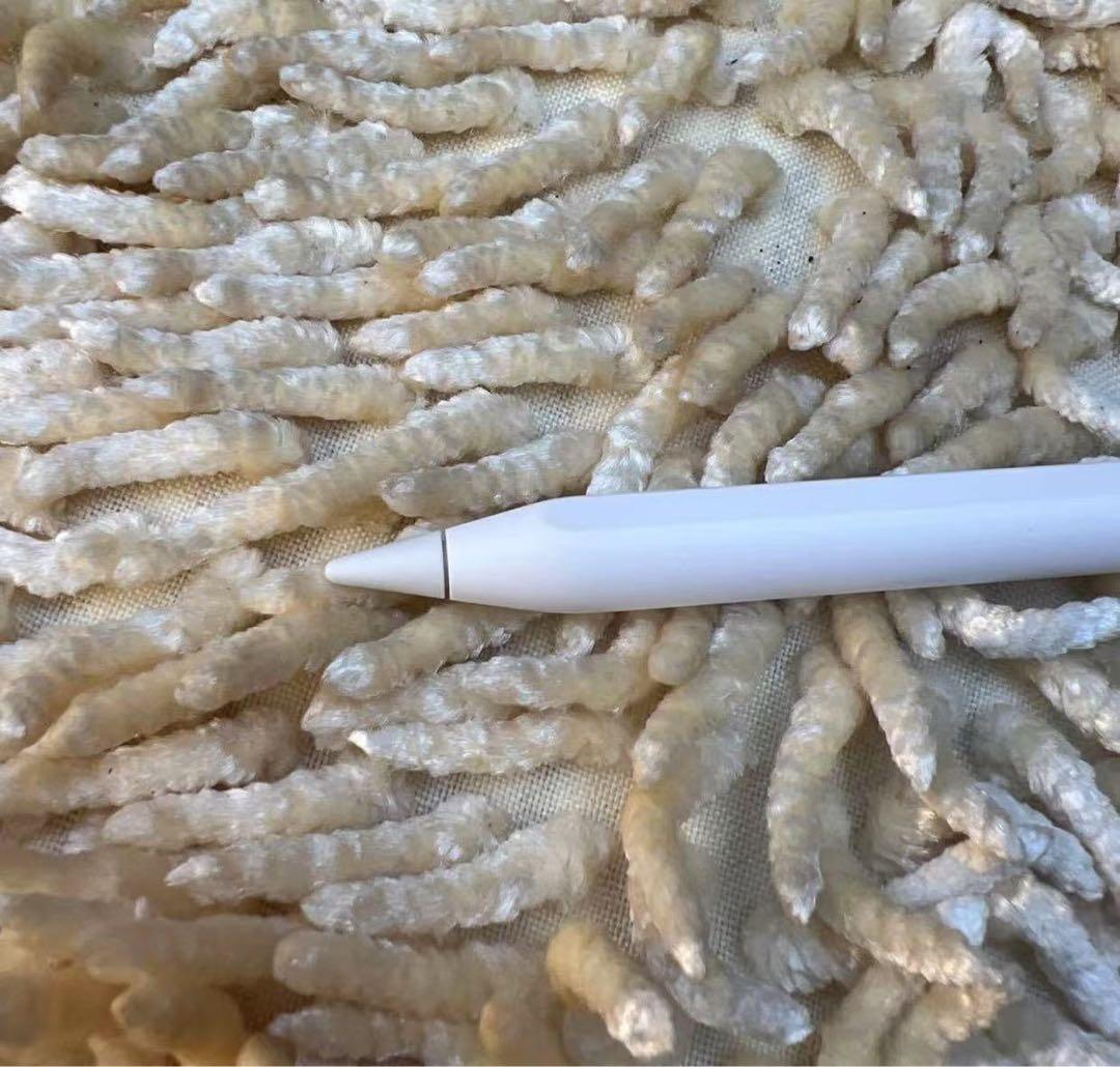 Apple Pencil（第2世代）MU8F2J/A