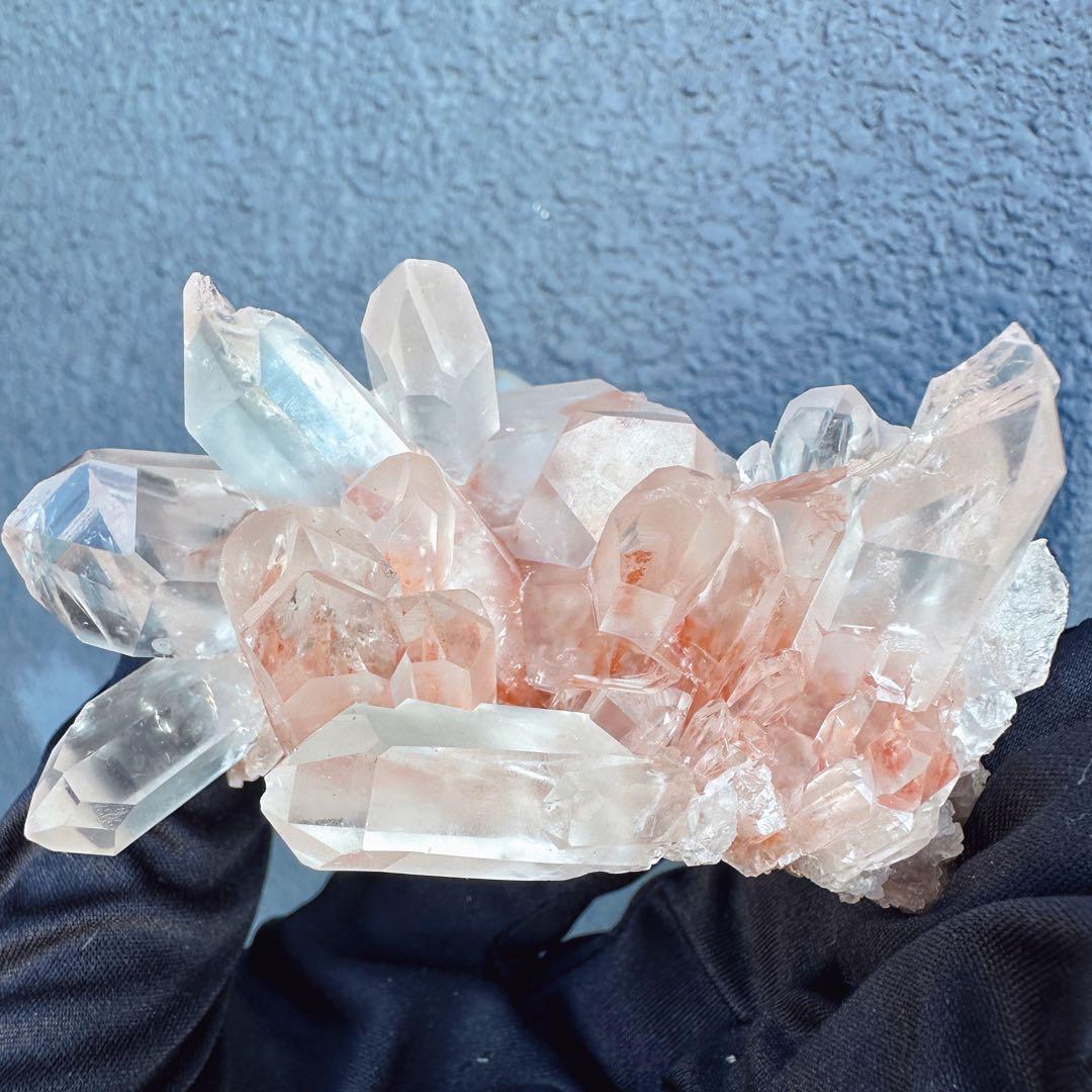 ぽんぽん♪　ヒマラヤクラスター A1168、A1244、A1185