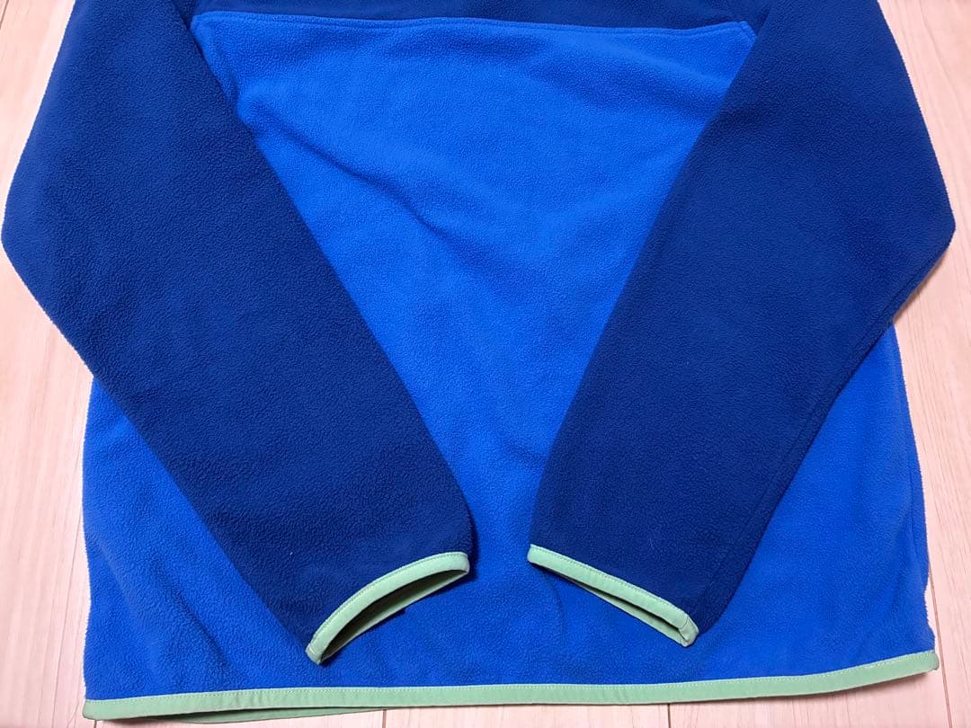 patagonia パタゴニア マイクロD スナップT