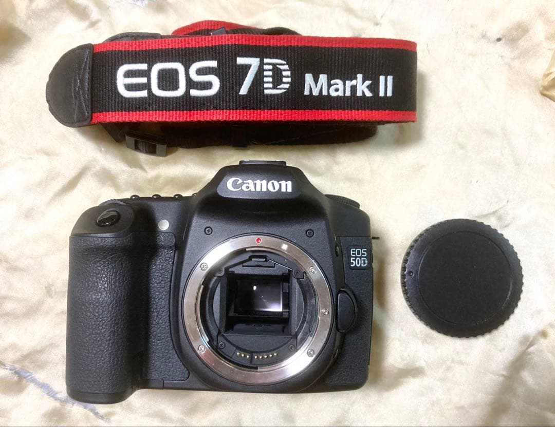 Canon EOS 50D ボディー超美品！
