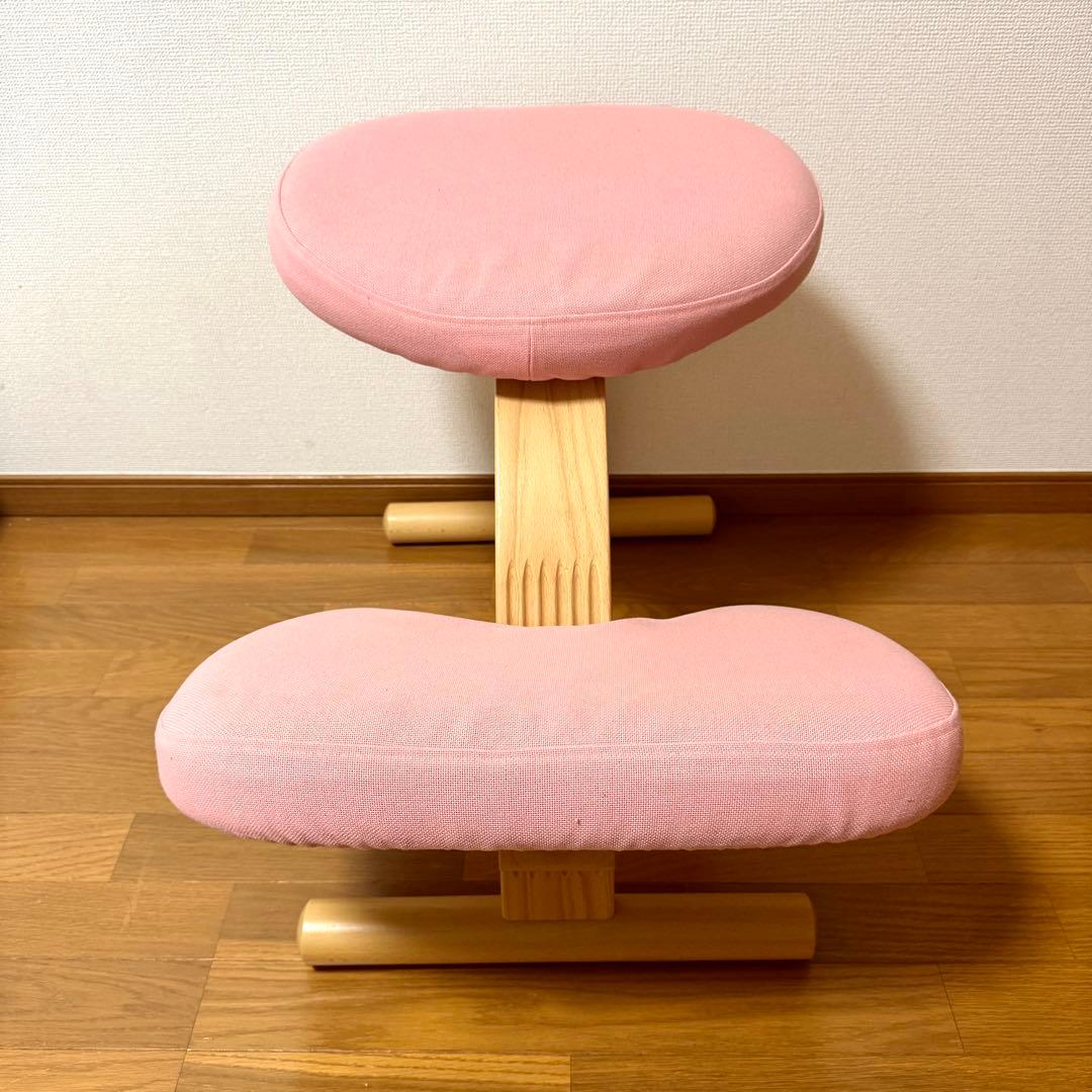 【minipham】 バランスイージー Rybo リボ社 カバー付き