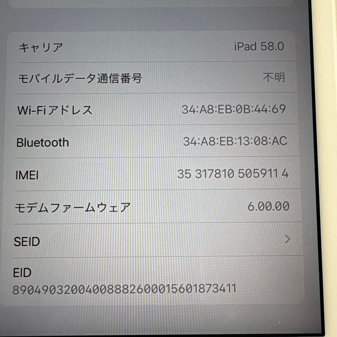 iPad mini5 Wi-Fi+Cellularモデル 64GB SIMフリー