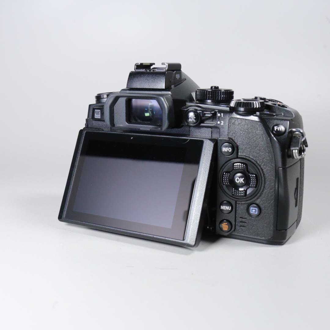 ☆美品☆ショット16,412回　OLYMPUS OM-D E-M1 ＃248