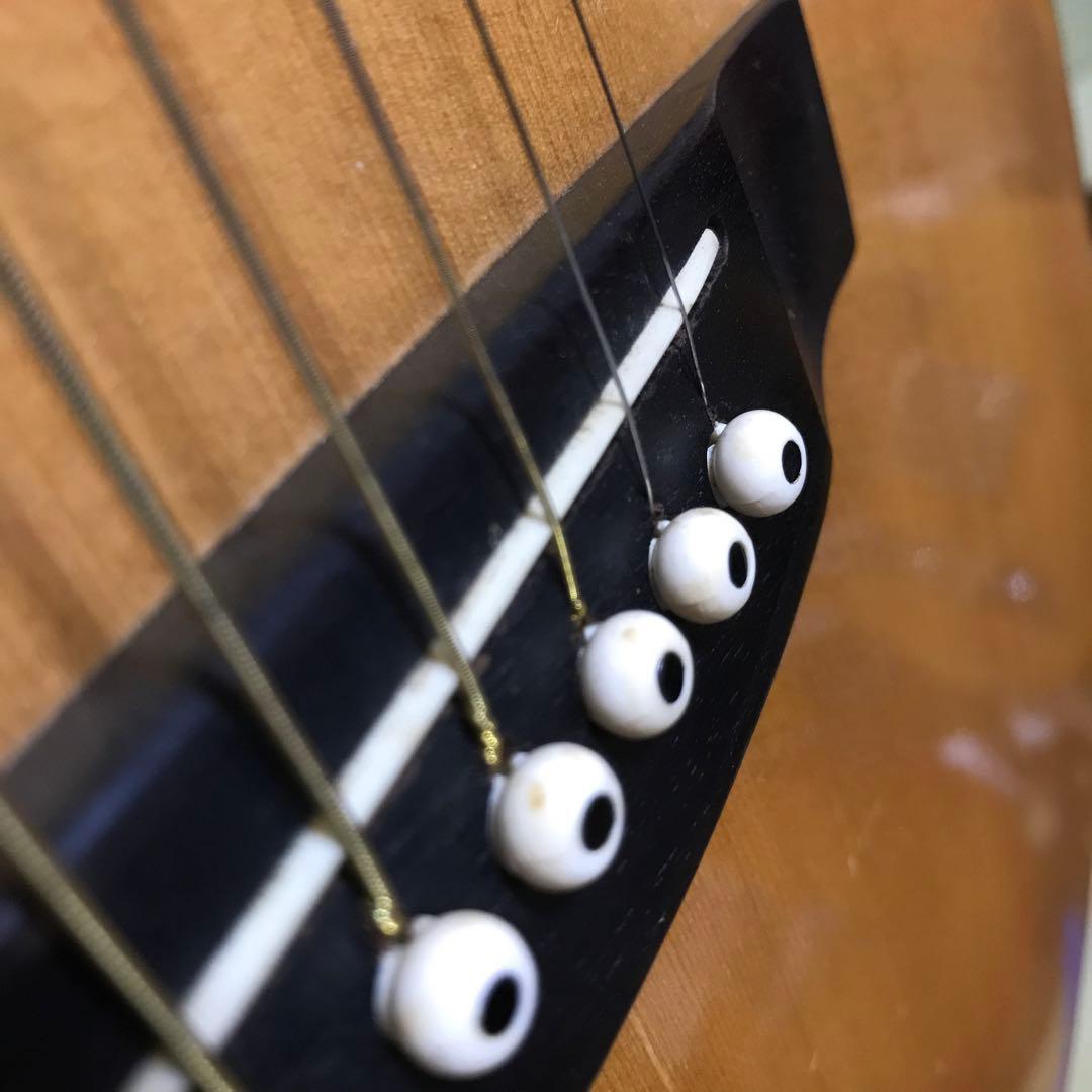 Greco アコースティックギター 6弦