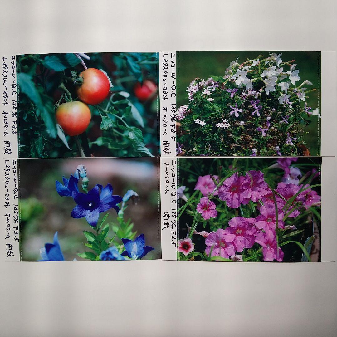 ニッコール-Q.C 135mmF3.5L39スクリューマウント 純正メタルフード