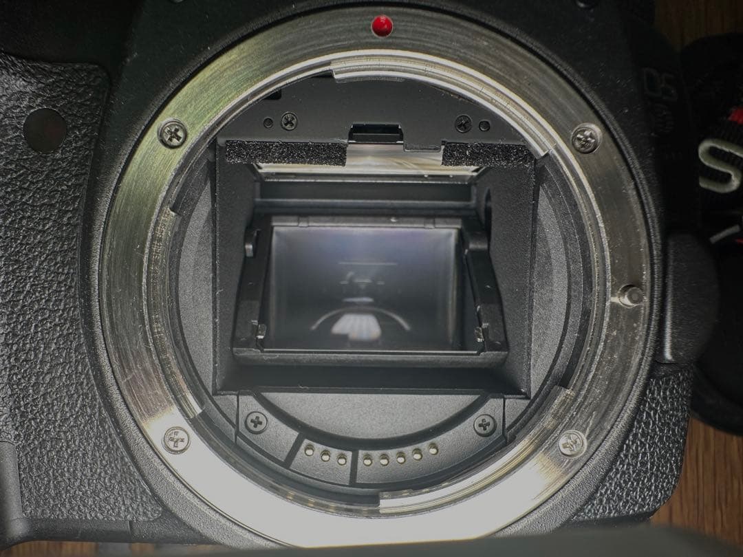中古美品Canon EOS 6D(WG) ボディ