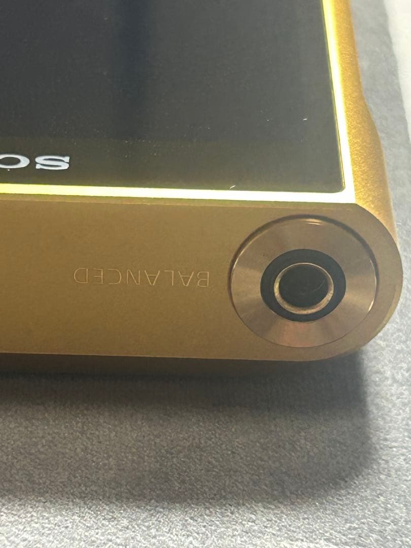 NW-WM1ZM2本体＋レザーケース