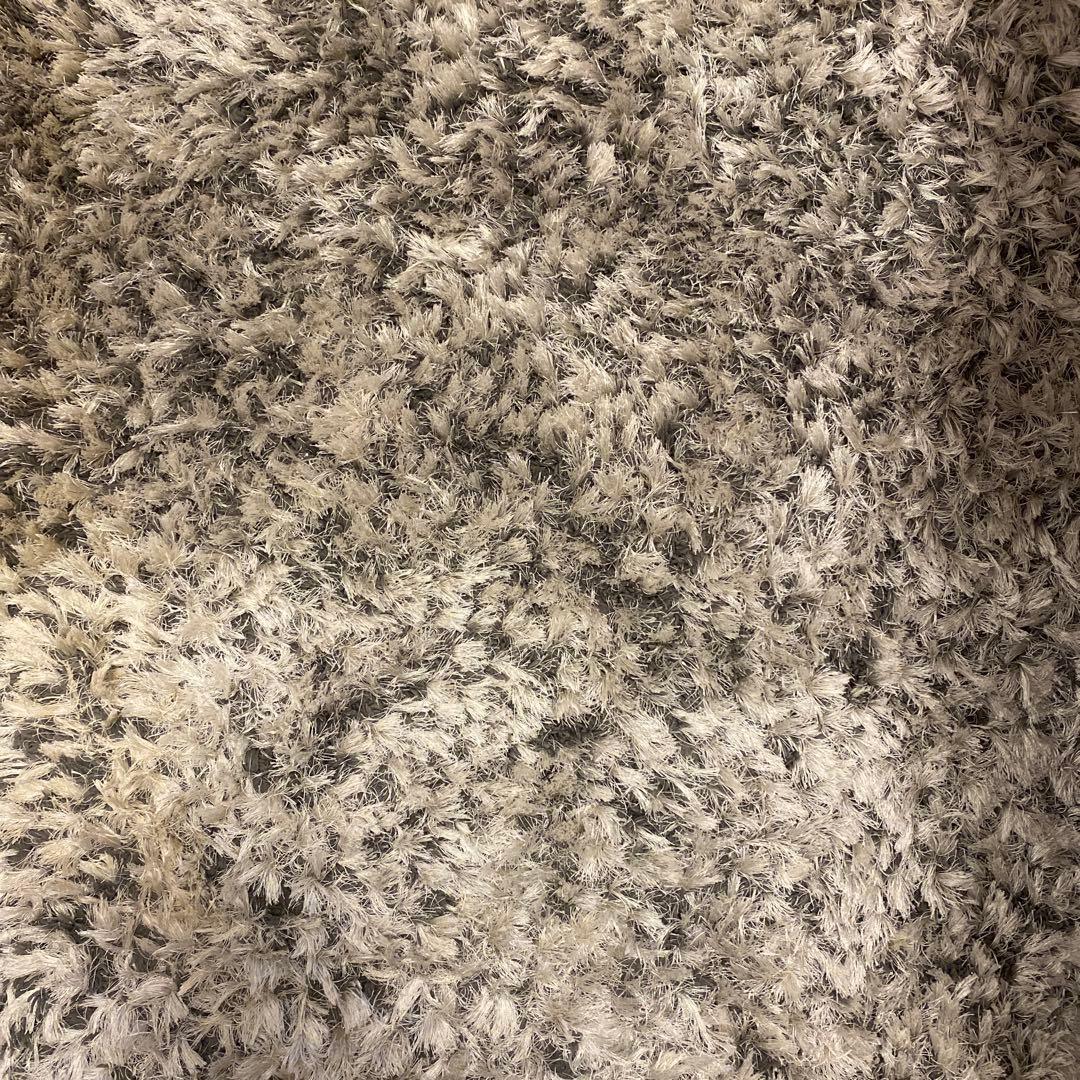 Francfranc カステ ラグ 200×140 シルバー