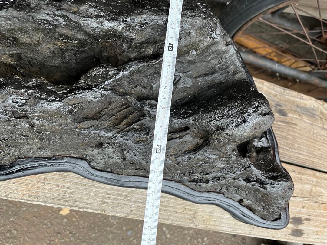 特大鑑賞石、60センチ、幸太郎石、幸太郎石台座付き、盆景石、盆石、水石、