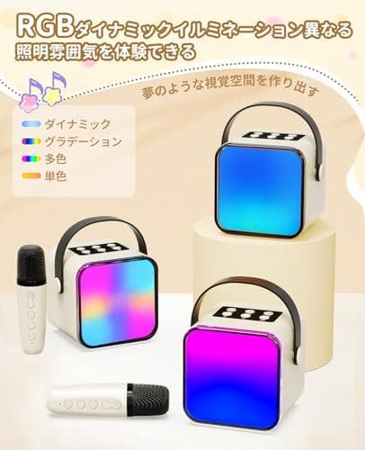 カラオケマイク Bluetoothマイク２本 日本語取扱説明書付き