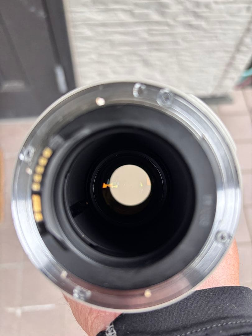 レンズ(ズーム) CanonZOOM LENSEF 35-350mm f/3.5-5.6L USM