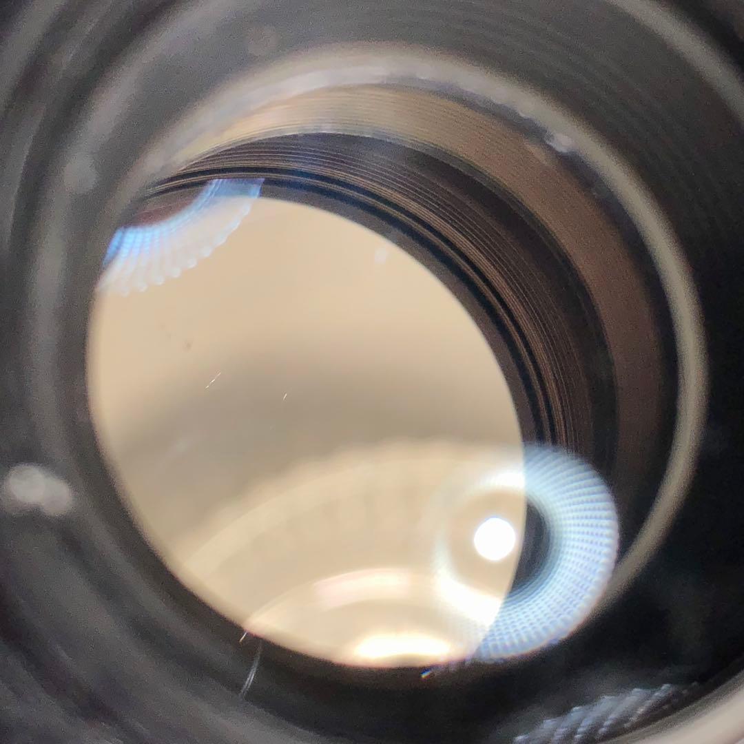 ゼブラ柄　REVUE 135mm f2.8 m42マウント