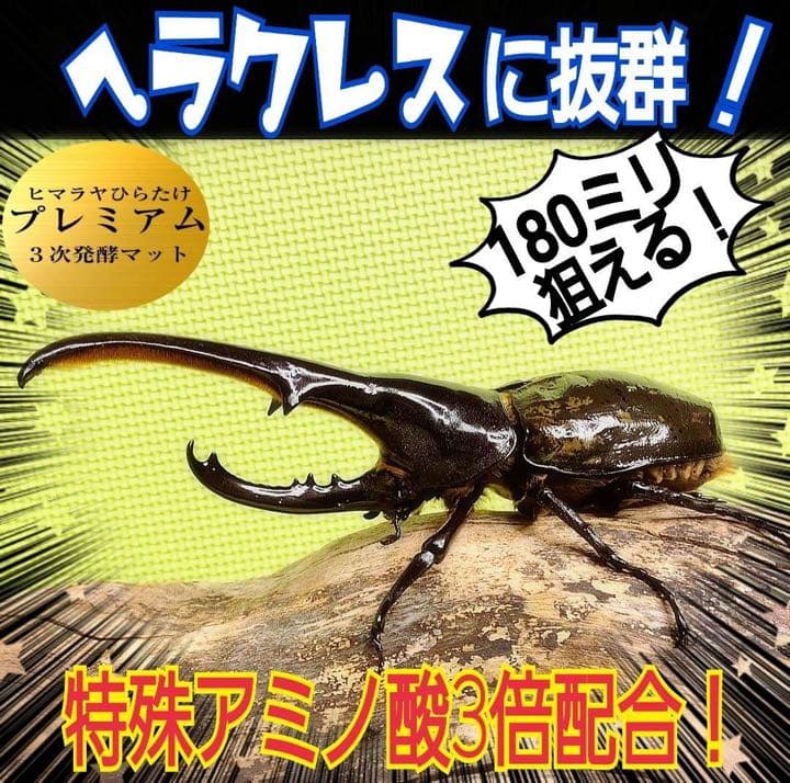 大人気！雑虫がわかない！完全室内製造！極上！プレミアム発酵カブトムシマット　8袋