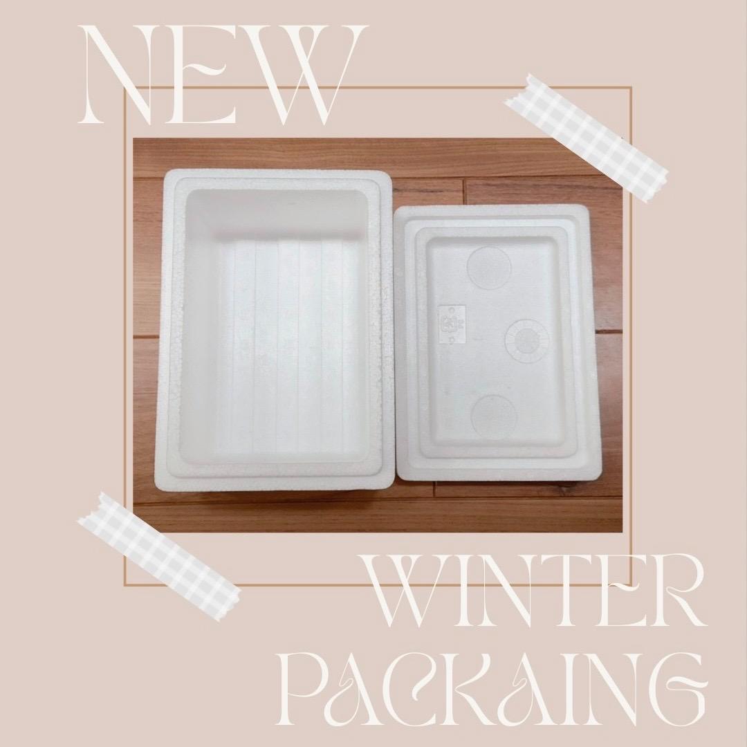 ビカクシダ P.Willinckii Tiara spore 04