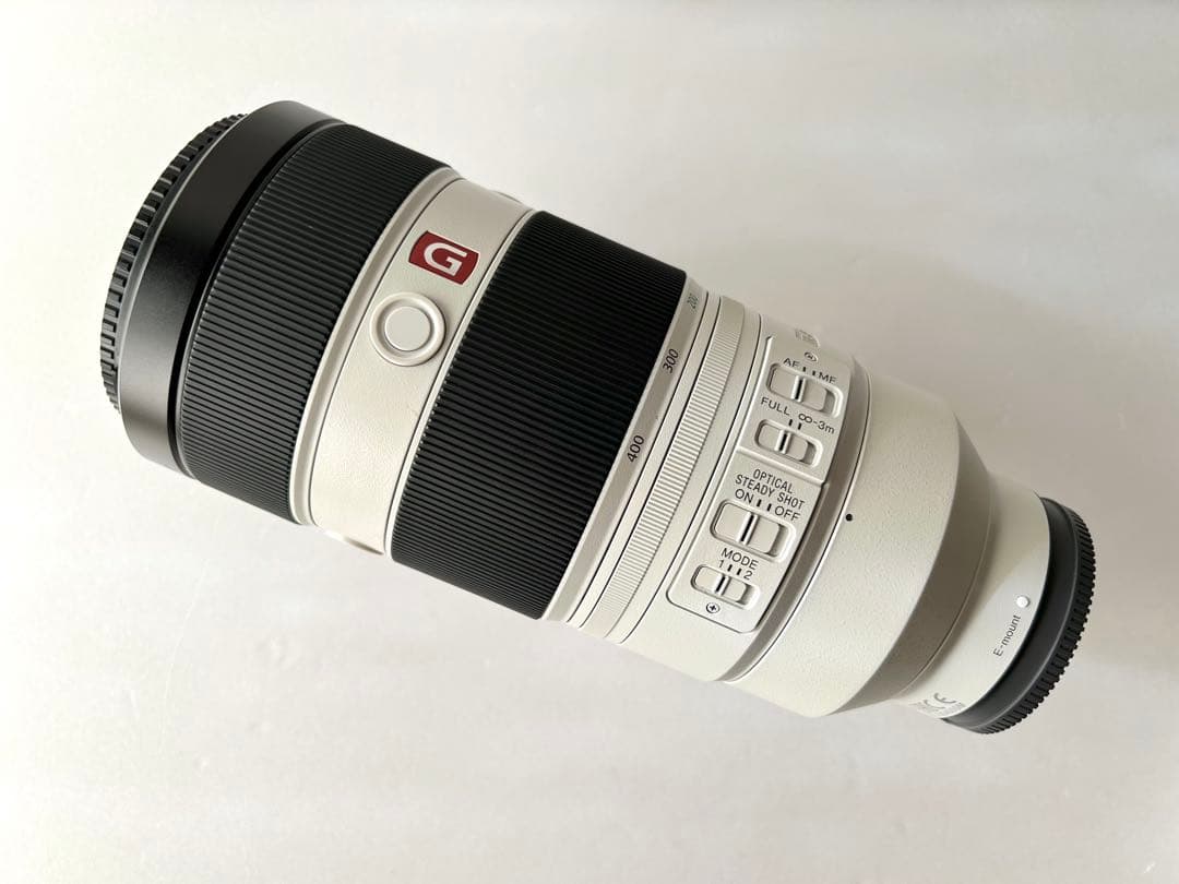 s*m様 SONY FE 100-400mm F4.5-5.6 GM OSS