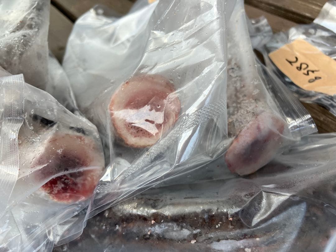 タウロス様ページ