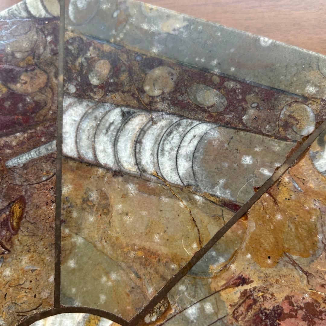 レア　アンモナイト　化石　八角形石製置物 約32.5cm