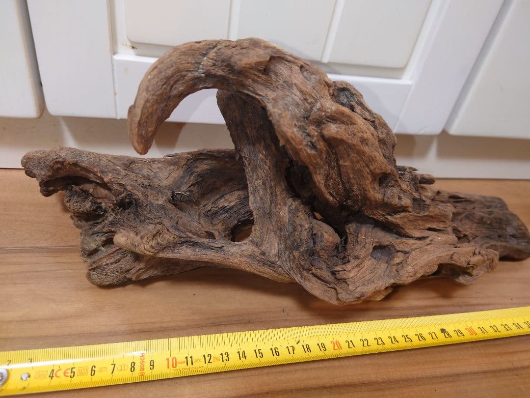 水槽用流木 自然な形状 約30cm〜50cm