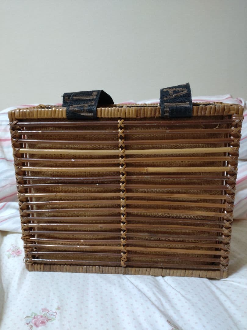 【プロフ必読】サリーとマキーフェンディレトロかごバッグレア