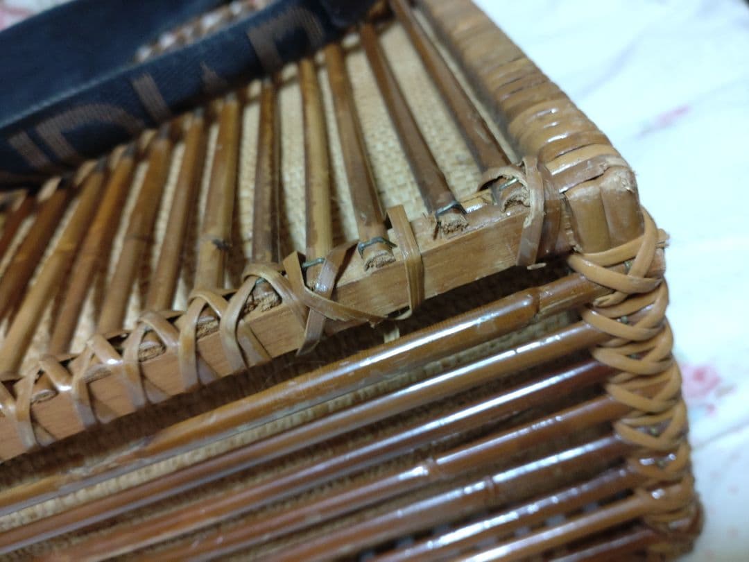 【プロフ必読】サリーとマキーフェンディレトロかごバッグレア