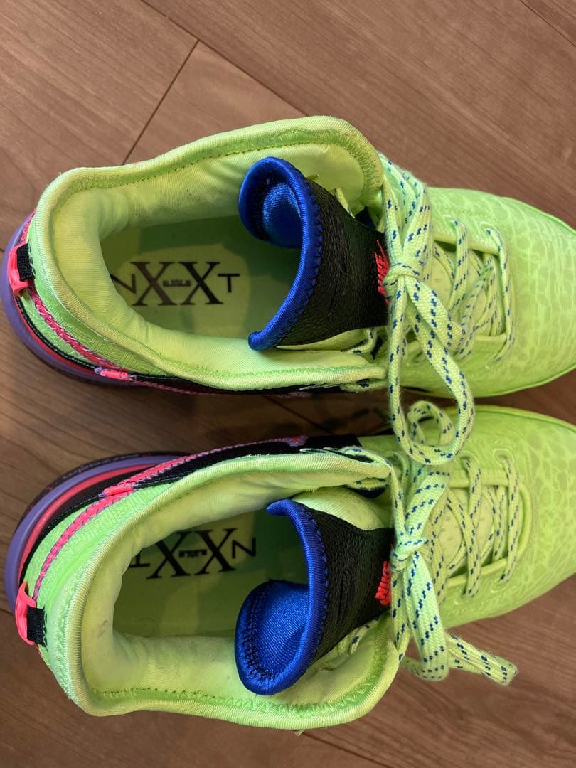 NIKE ZOOM LEBRON NXXT GEN 29cm バスケットシューズ
