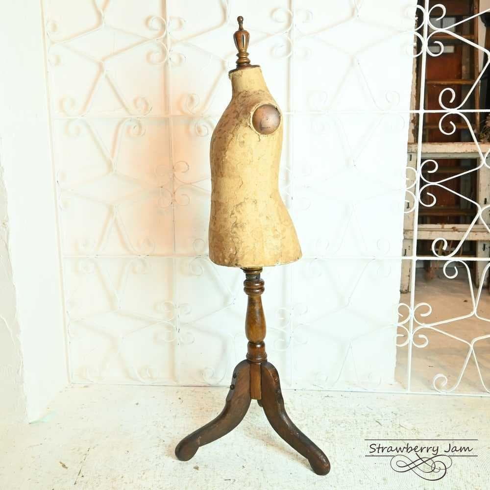 L3705-18 英国アンティーク チャイルド Torso トルソー マネキン