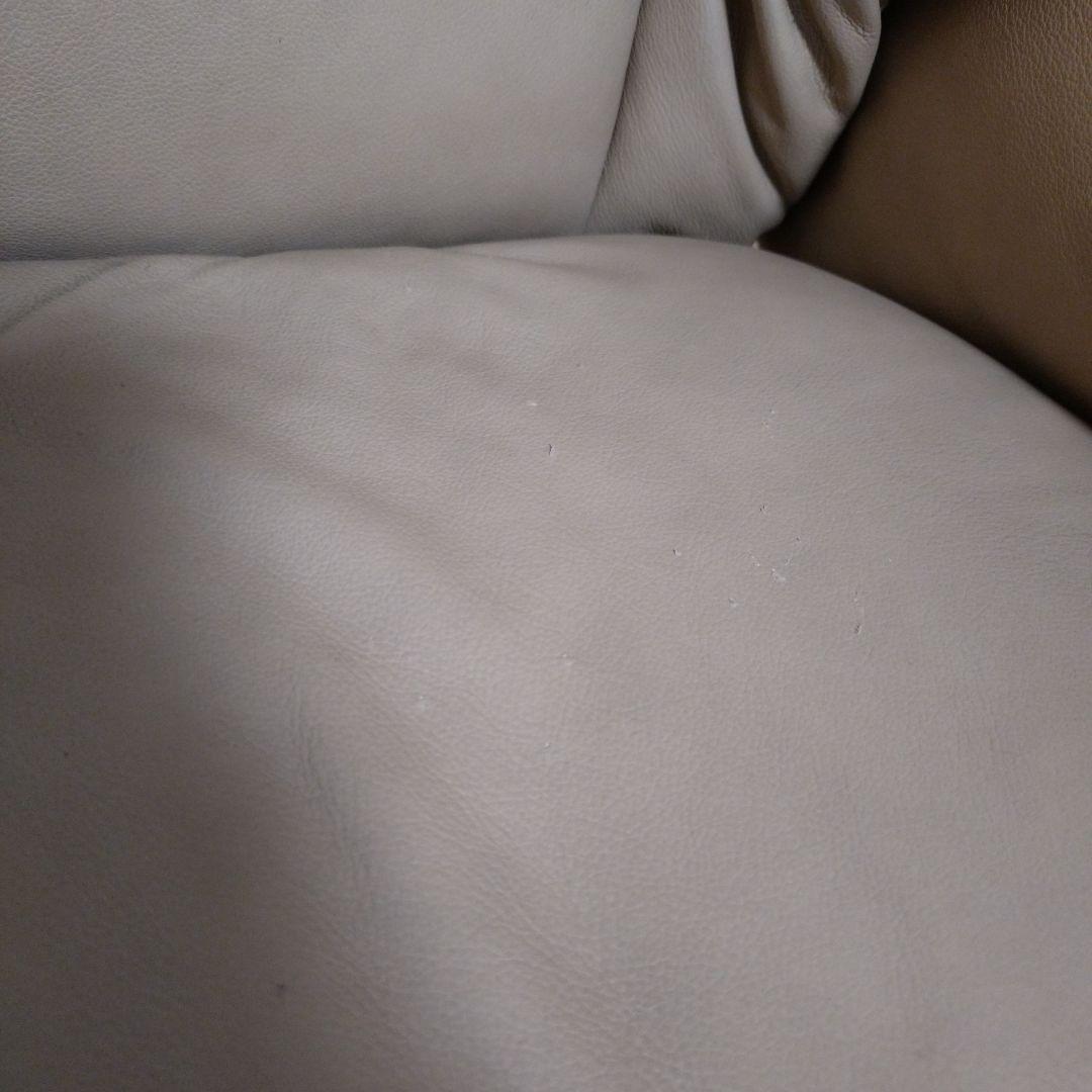 エコーネス　レノ　Sサイズ　ストレスレスチェア