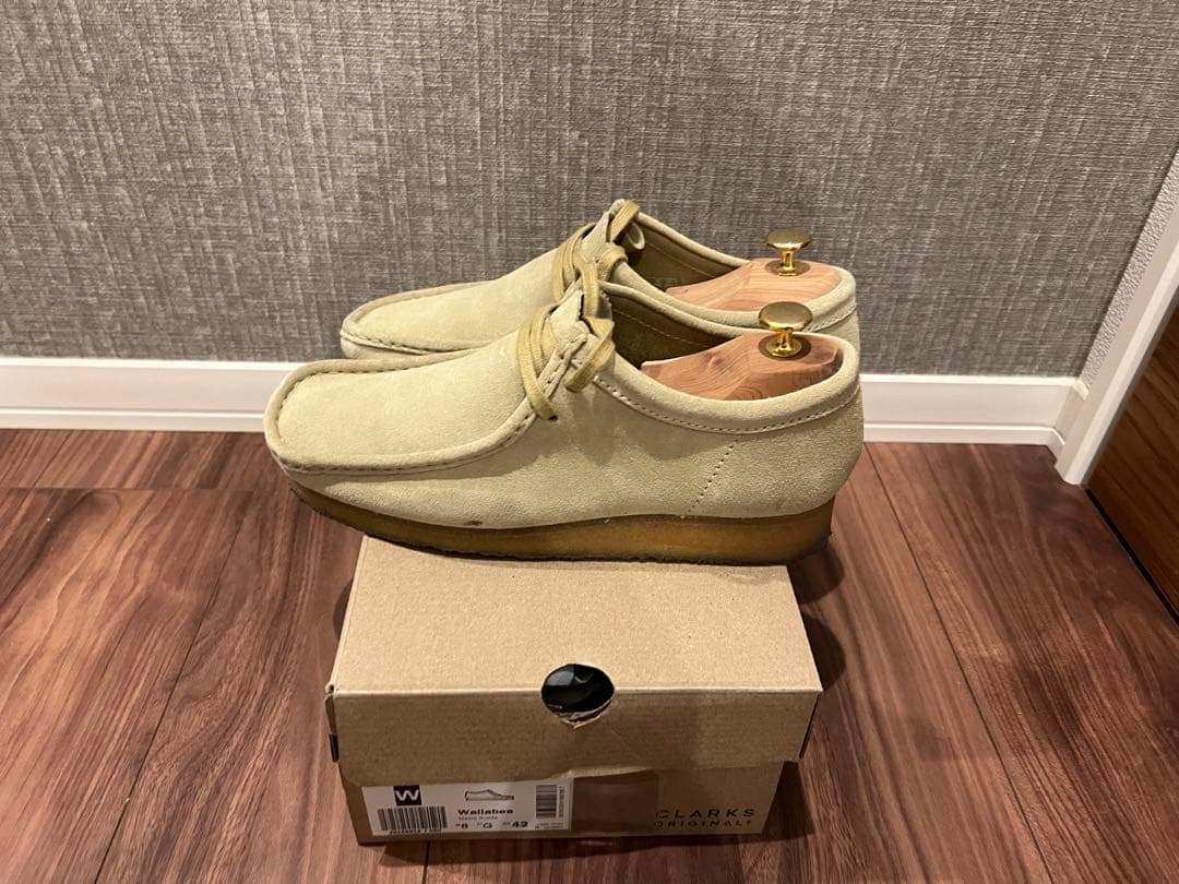 クラークスワラビー