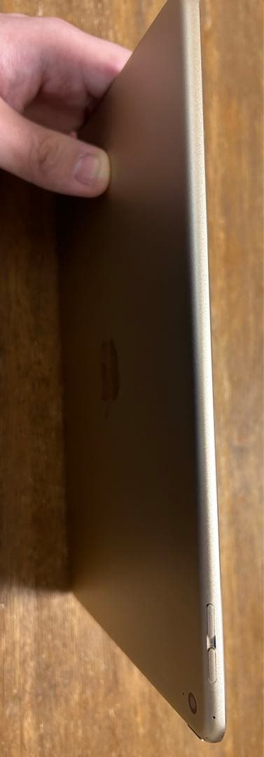 美品　Apple iPad Air 2 Wi-Fi 64GB Gold 本体