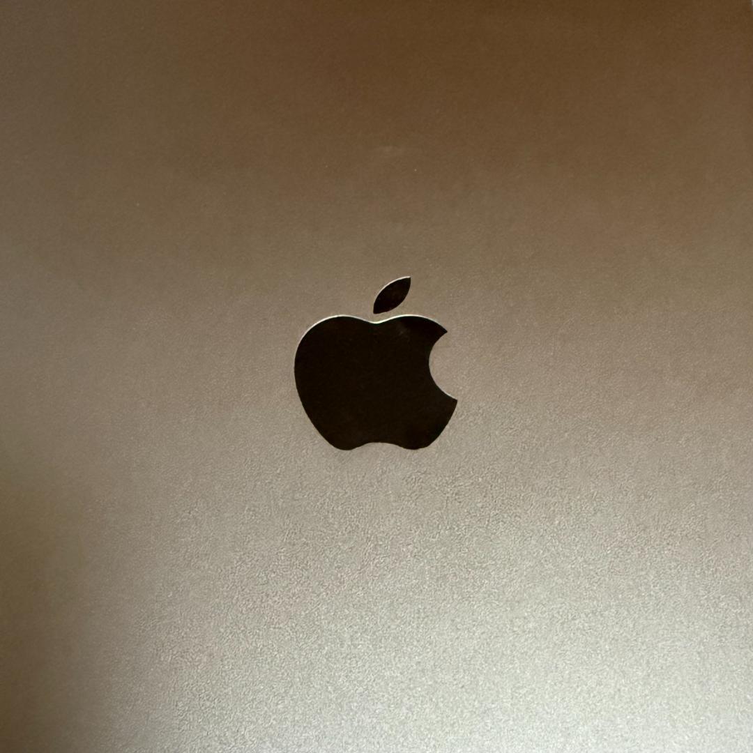 【美品】iPad Air 4 64GB ＋Apple pencil 2