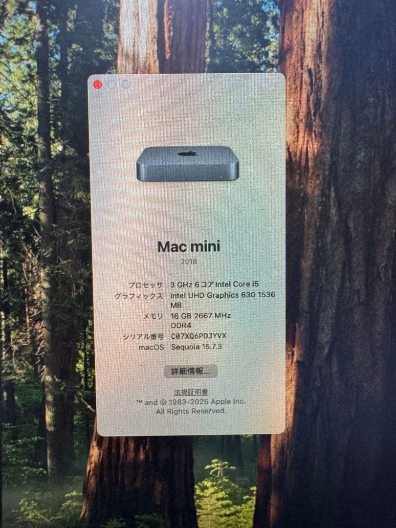 Apple Mac mini 2018 16GB 256GB キーボードセット