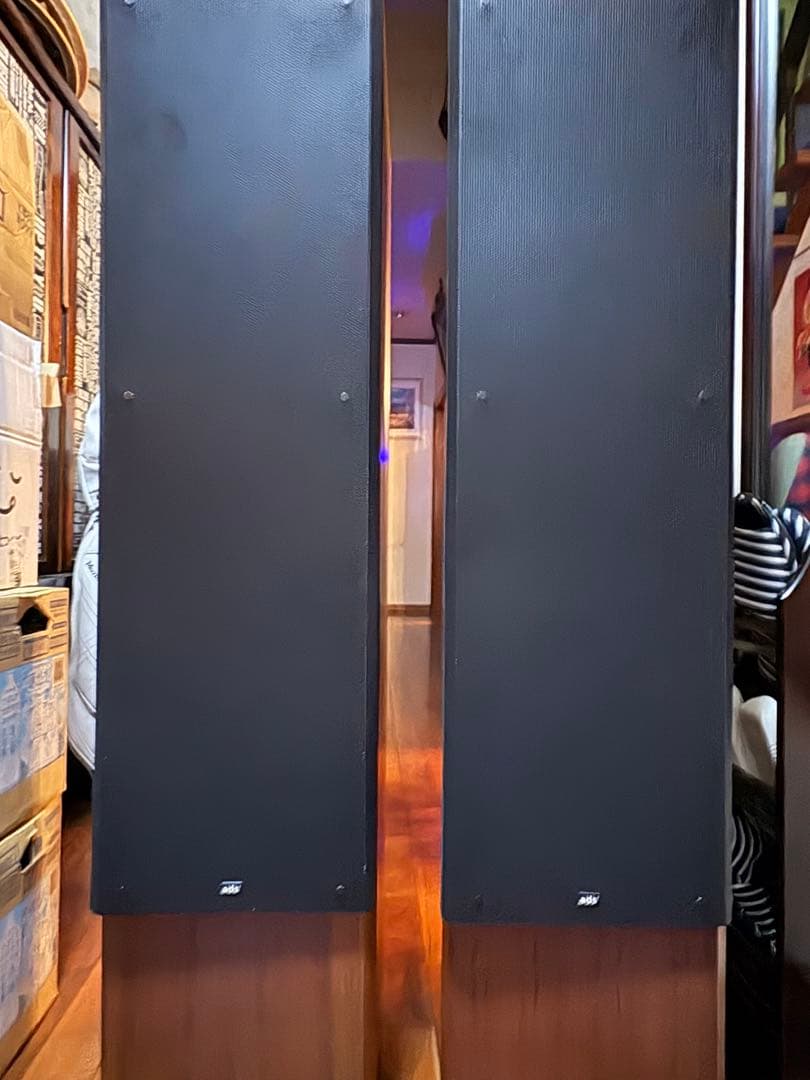 model M15 トールボーイ型フロアスピーカー