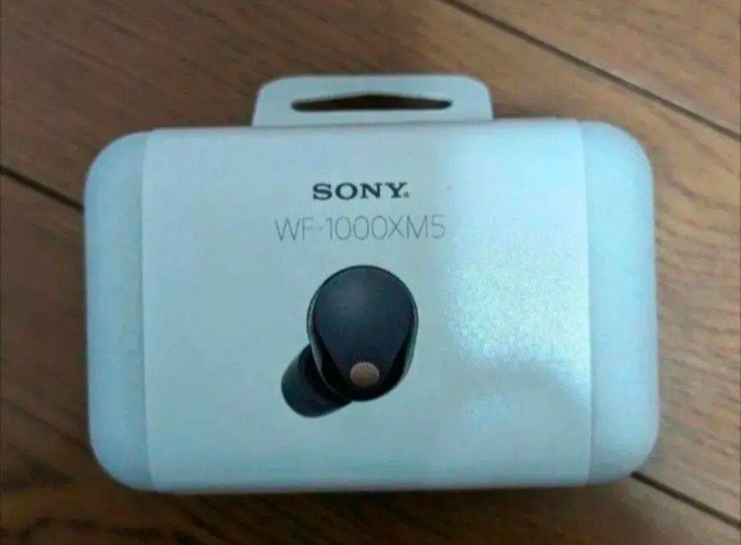 SONY WF-1000XM5 ソニー ワイヤレスイヤホン ブラック