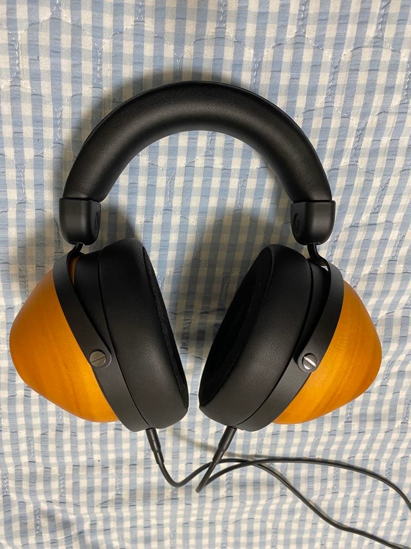 HIFIMAN HE-R10D 有線バージョン