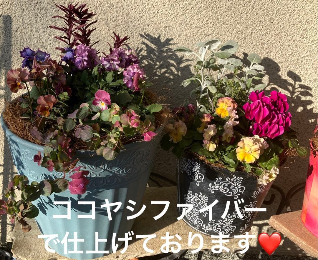 ❤️みーこ様❤️専用のページ❤️寄せ植え❤️