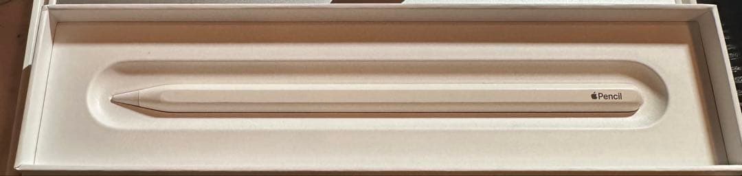 【美品】iPad Pro 第5世代12.9シルバー + Apple Pencil