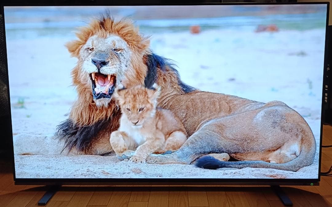 22年製東芝REGZA 55V型 55X8900K 有機ELテレビ