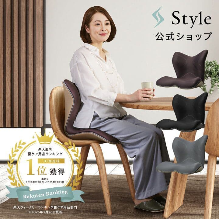 Style PREMIUM 姿勢矯正シート 黒色 YS-AL03A 説明書付