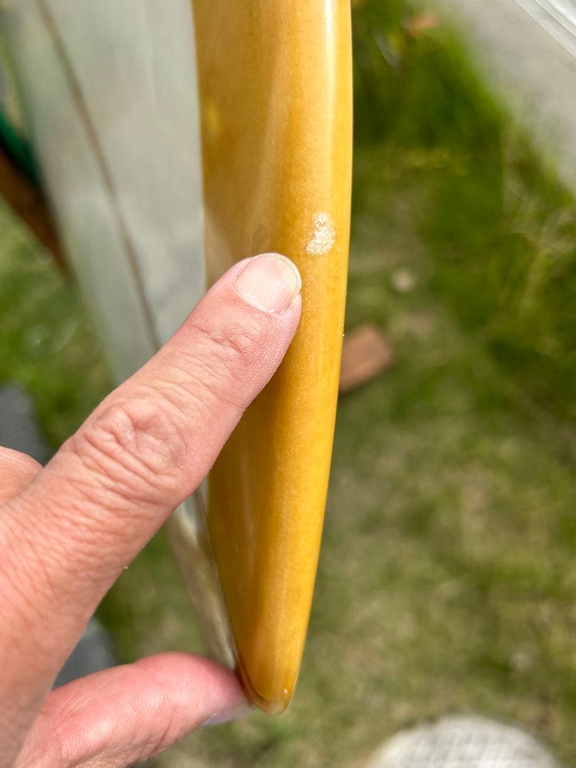 Deus デウス　ロンハーマン　7’0 213/16 DEUS TEXSTLE