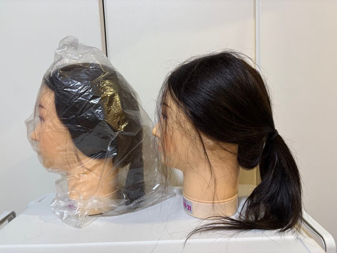 REGINA カットウィッグ2体セット　人毛100% 美容師カット練習用