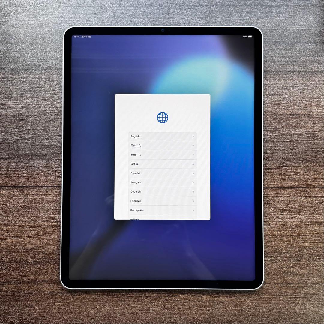 iPad Pro 12.9 第5世代 256GB セルラー